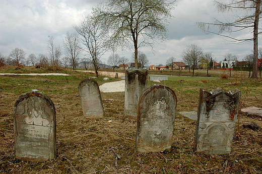 Bodzentyn - maceby na kirkucie