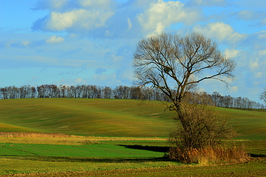 Uroki Opolszczyzny