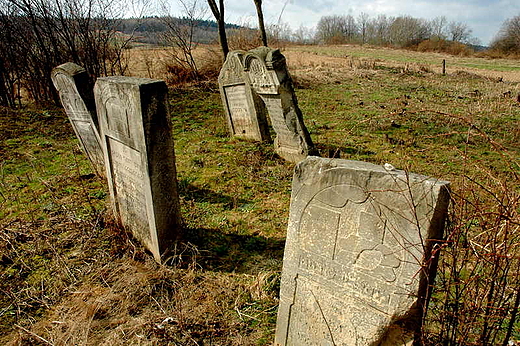 Bodzentyn - macewy na kirkucie