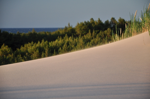 Wydma Czopiska