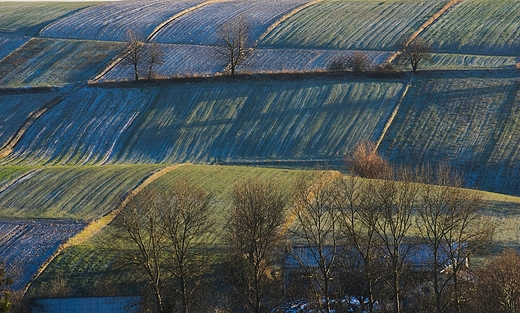 Skierbieszowski Park Krajobrazowy