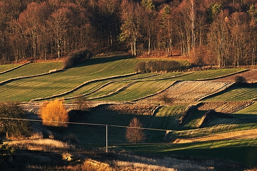 Skierbieszowski Park Krajobrazowy