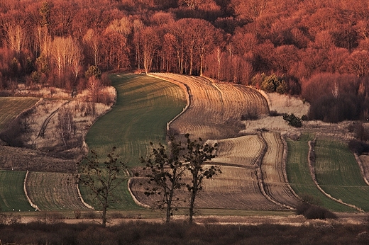 Skierbieszowski Park Krajobrazowy