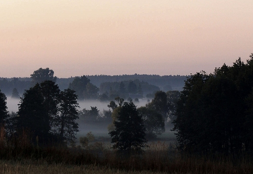 Dolina Brzozwki