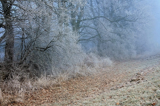 Zima na Podlasiu.