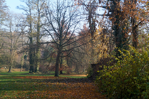 Krnik- arboretum