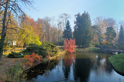 Krnik- arboretum