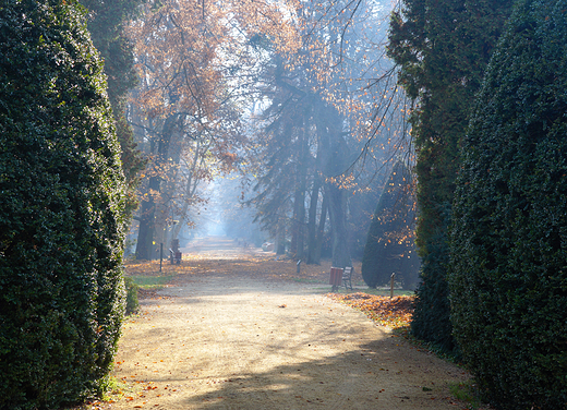 Krnik- arboretum