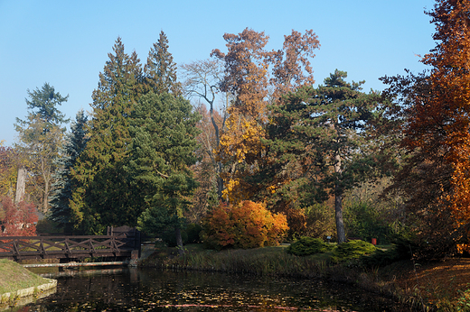 Krnik- arboretum