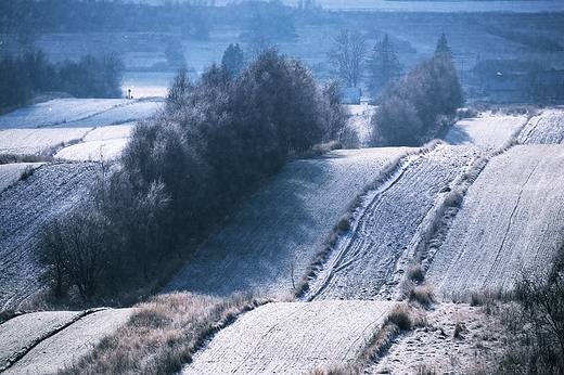 Roztocze. Antoniwka 01.01.2016r