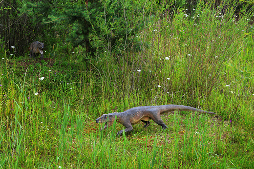 Krasiejw - Chirotherium