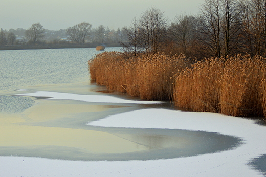 Zimowe klimaty