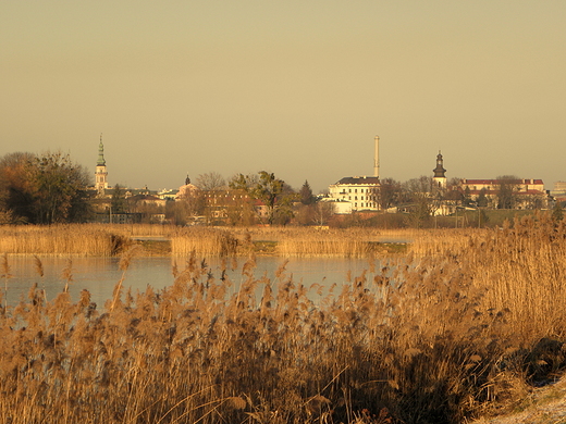 widok na Stare Miasto