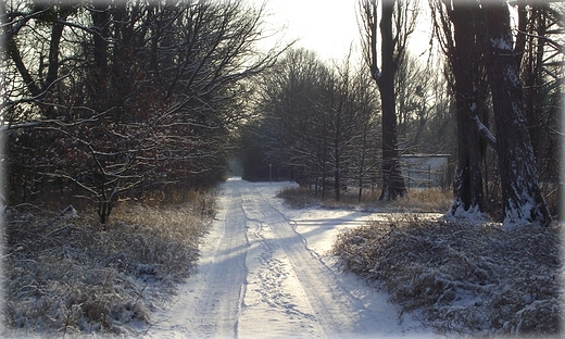 Pola nad Odr w Kotowicach