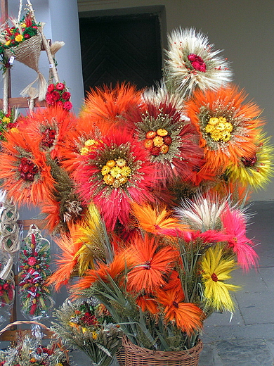 Kwiaty. Kazimierz Dolny