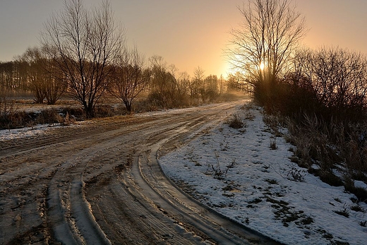 Styczniowy poranek.