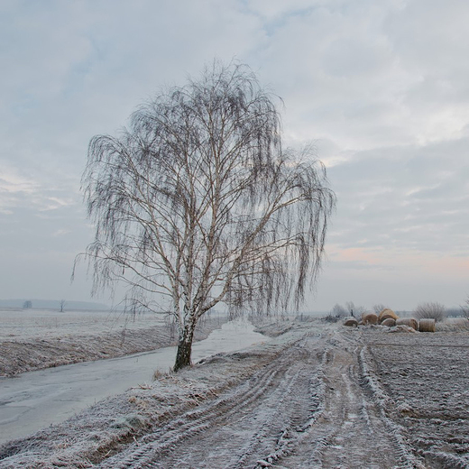 Zima nad Bzur