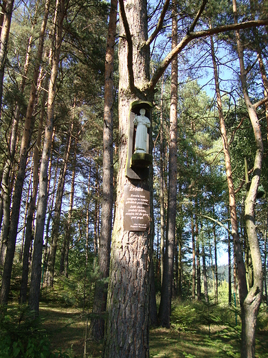 witki na grskich szlakach...