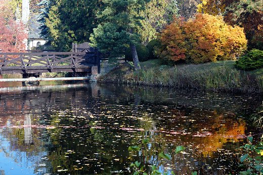 Krnik. Arboretum