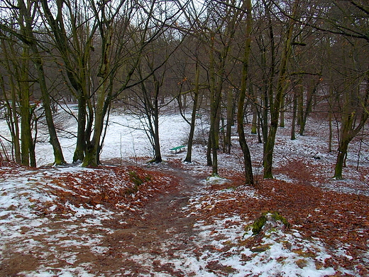 Podkowa Lena. Zimowy park.