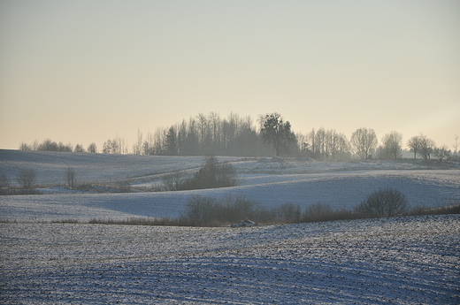 Podgodapskie pola
