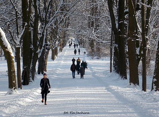 Warszawa. Zimowo w azienkach.