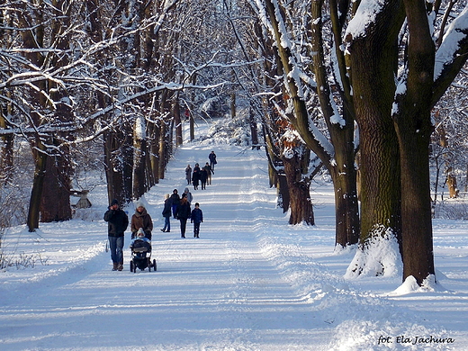 Warszawa. Zimowo w azienkach.