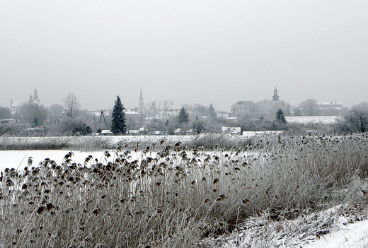 widok na Stare Miasto