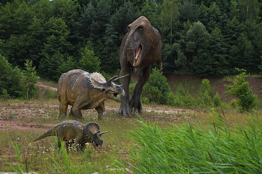 Krasiejw - Tyranozaur i Triceratops