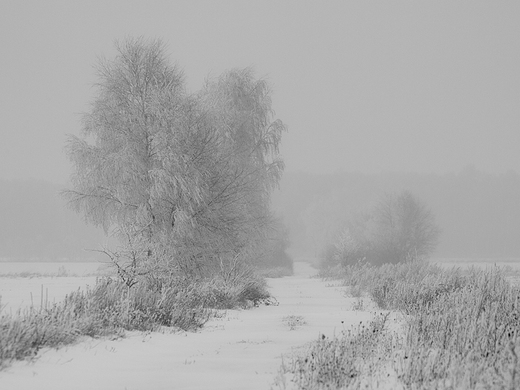 Zimowe Podlasie