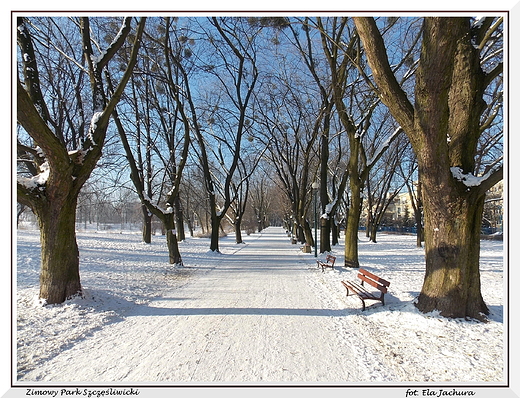 Warszawa. Zimowy Park Szczliwicki.