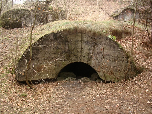 Fort Beniaminw