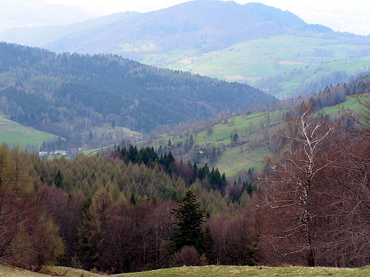 Polana nad Wierchoml