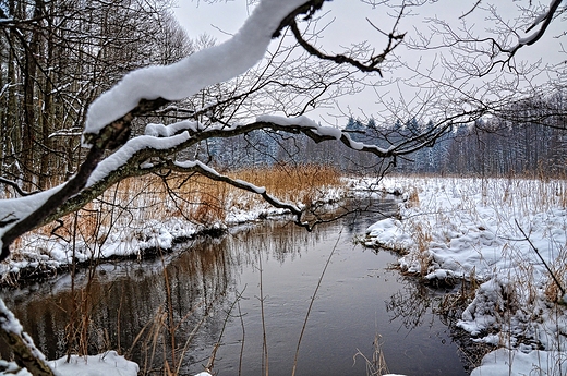 Czarna Hacza zimowo