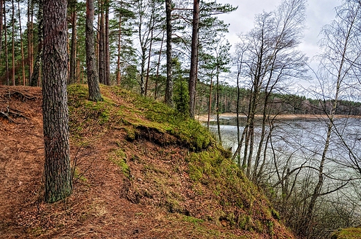 Klif nad Sajnem