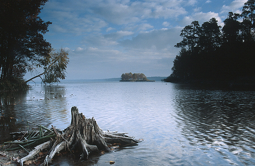 Zimny poranek nad zalewem