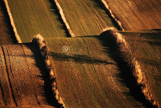 Grzda Sokalska. Przedwionie zim