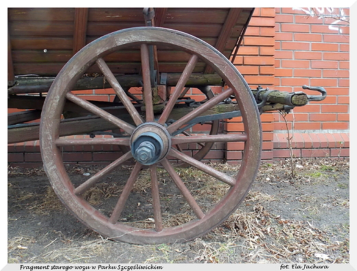 Warszawa. Fragment starego wozu w Parku Szczliwickim.