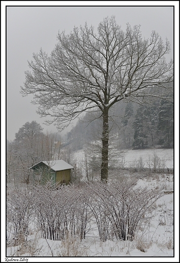 Kudowa Zdrj - w zimowej szacie _ w drodze do Jakubowic