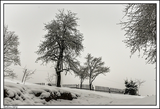 Kudowa Zdrj - w zimowej szacie _ w drodze do Jakubowic