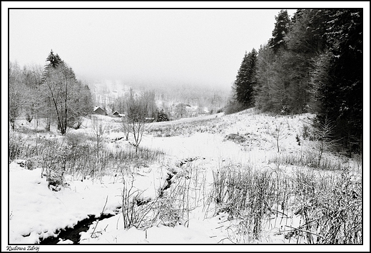 Kudowa Zdrj - w zimowej szacie _ w drodze do Jakubowic