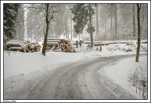 Kudowa Zdrj - w zimowej szacie _ w drodze do Jakubowic