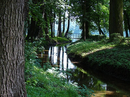 Park. Trzcisko-Zdrj