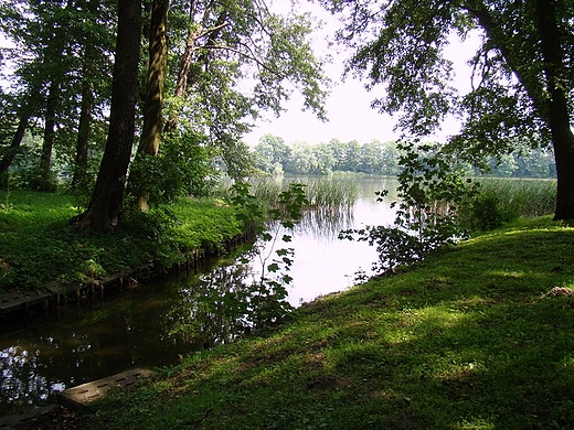 Park. Trzcisko-Zdrj