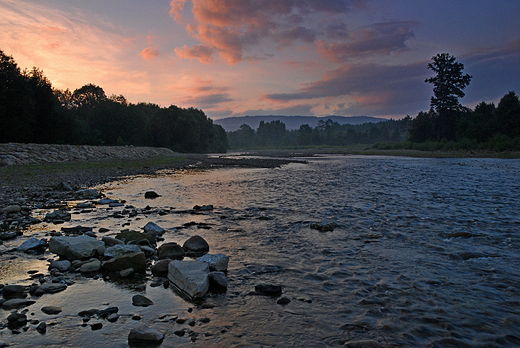 Rzeka Koszarawa