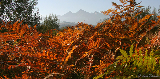 Tatry Bielskie