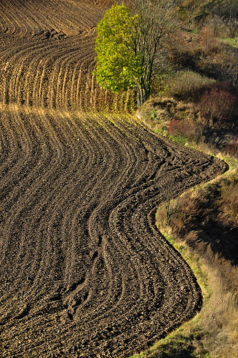 Stradw - widok z waw grodziska