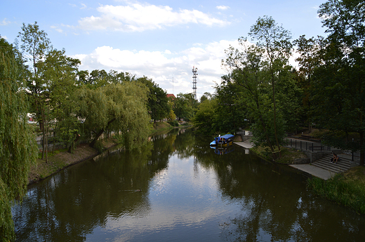 Opole - widok na kana Mynwka