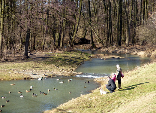 Bodzentyn. Nad Psark.