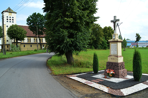 Ozimek - stary koci i krzy przydrony